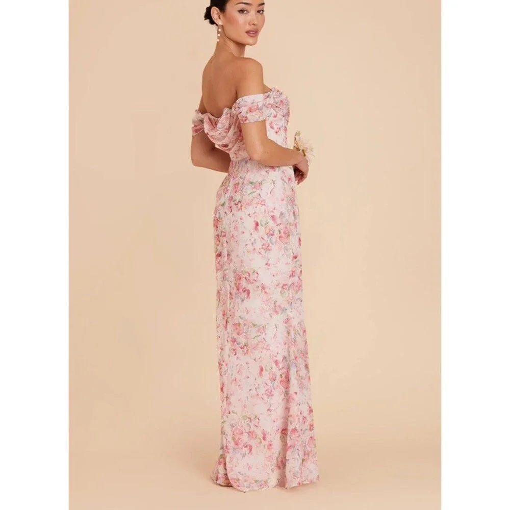 NWT Birdy Grey Mira Dress in Chiffon Pink Falling Petals